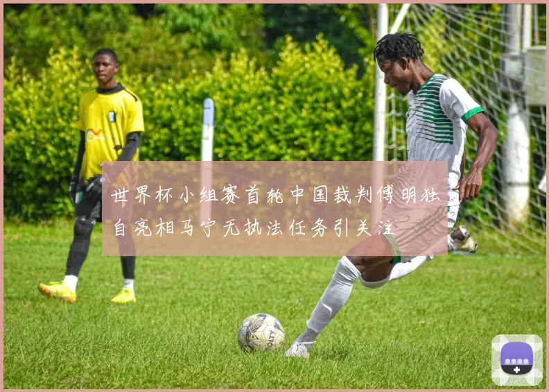 世界杯小组赛首轮中国裁判傅明独自亮相马宁无执法任务引关注